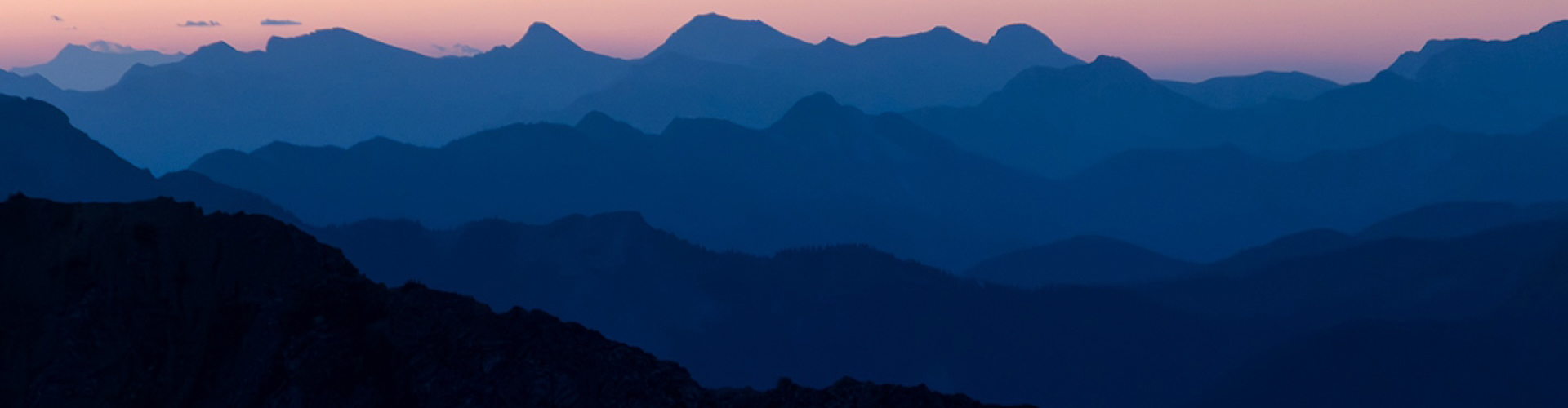 banner image