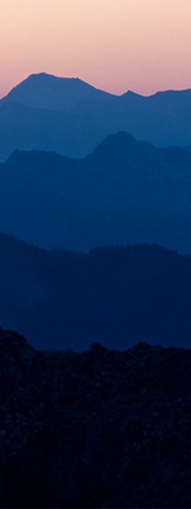 banner image